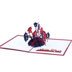 *GRADUATION* 3D Pop-Up Graduation Greeting Card
